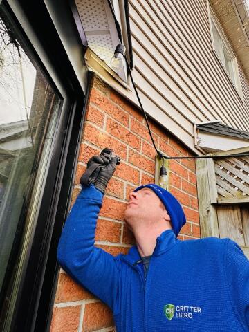 wildlife inspection and removal Ontario