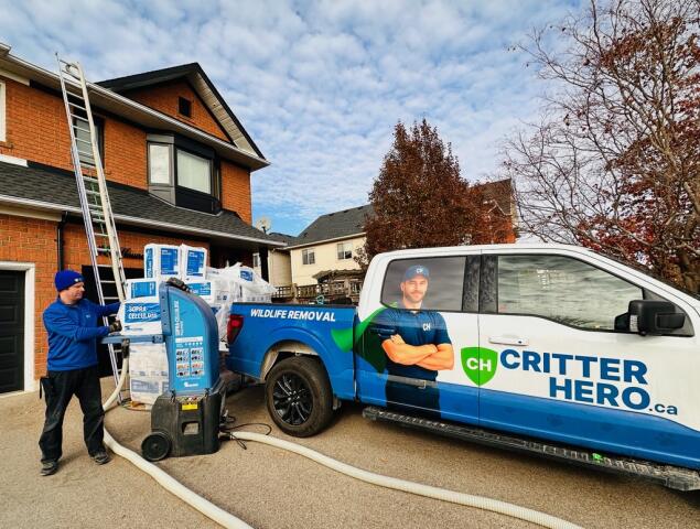 humane wildlife removal specialist working on a wildlife removal project in Ontario