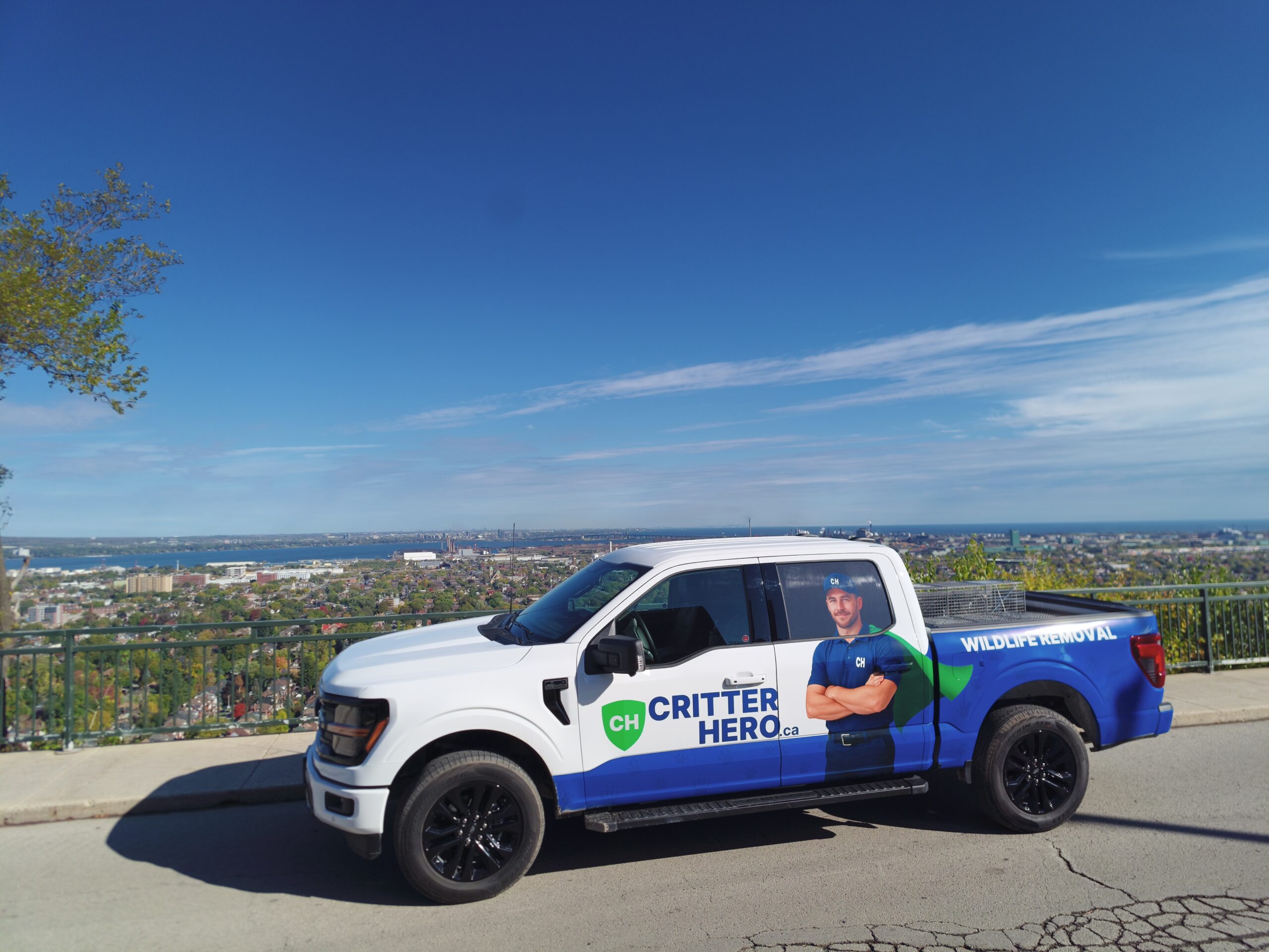 company car of humane wildlife removal company, Critter Hero