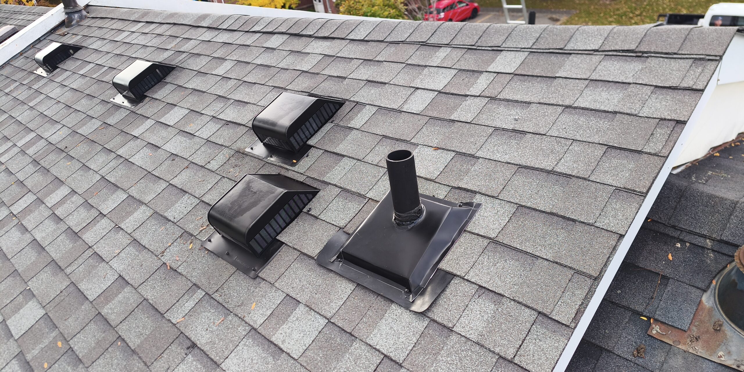 wildlife prevention and removal Ontario