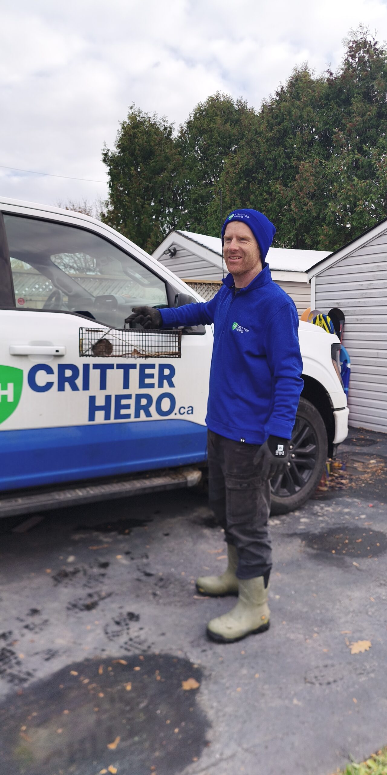 wildlife removal Ontario