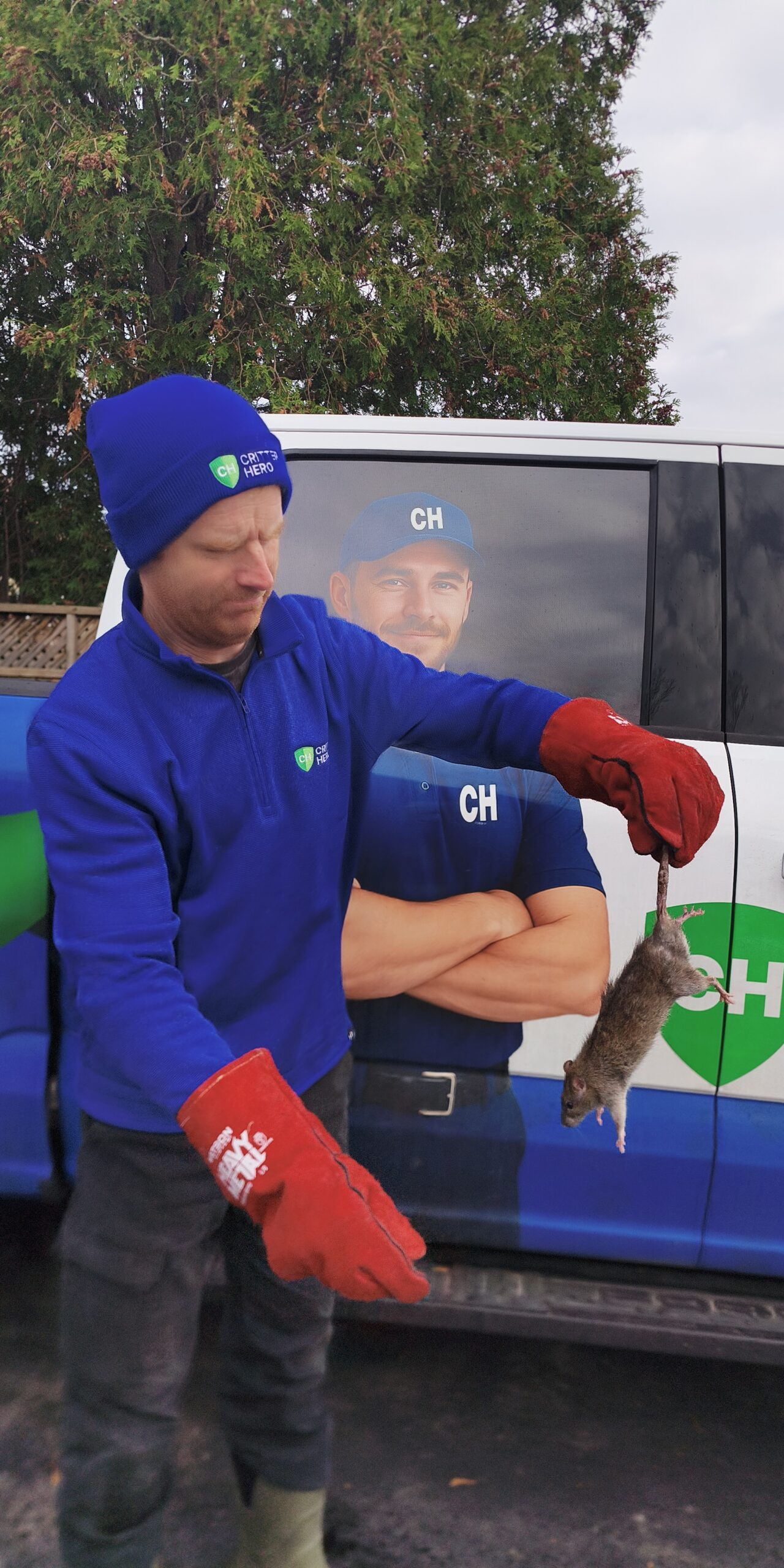 wildlife removal worker holding a rat he captured in Ontario, Canada