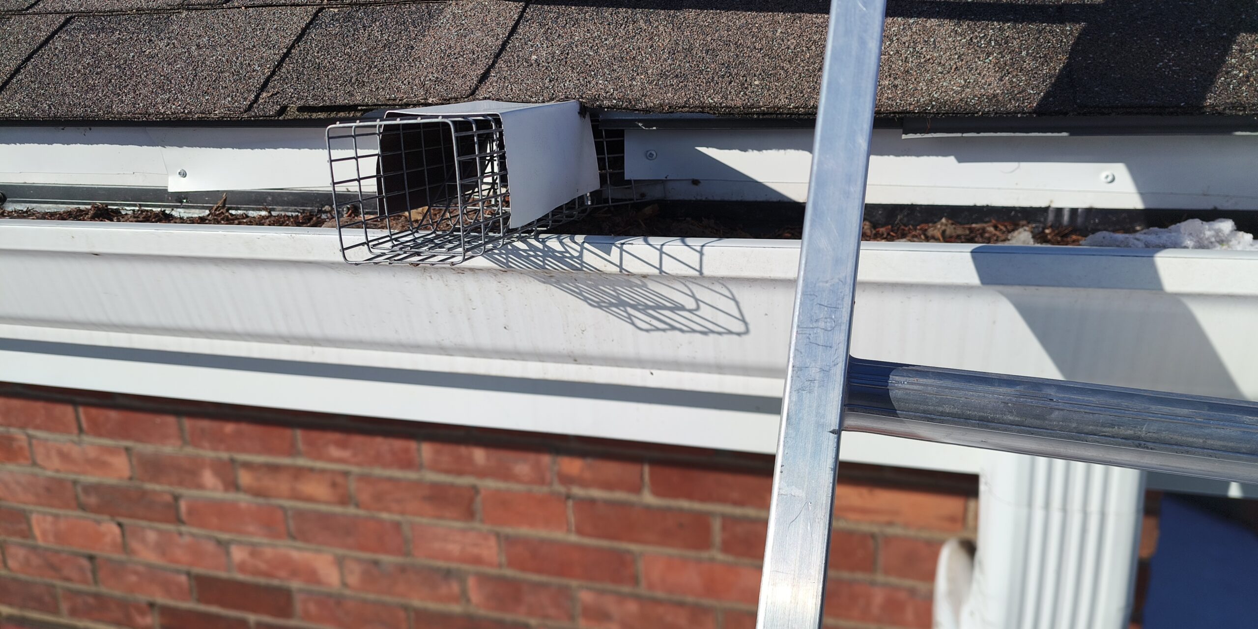 wildlife prevention and removal Ontario