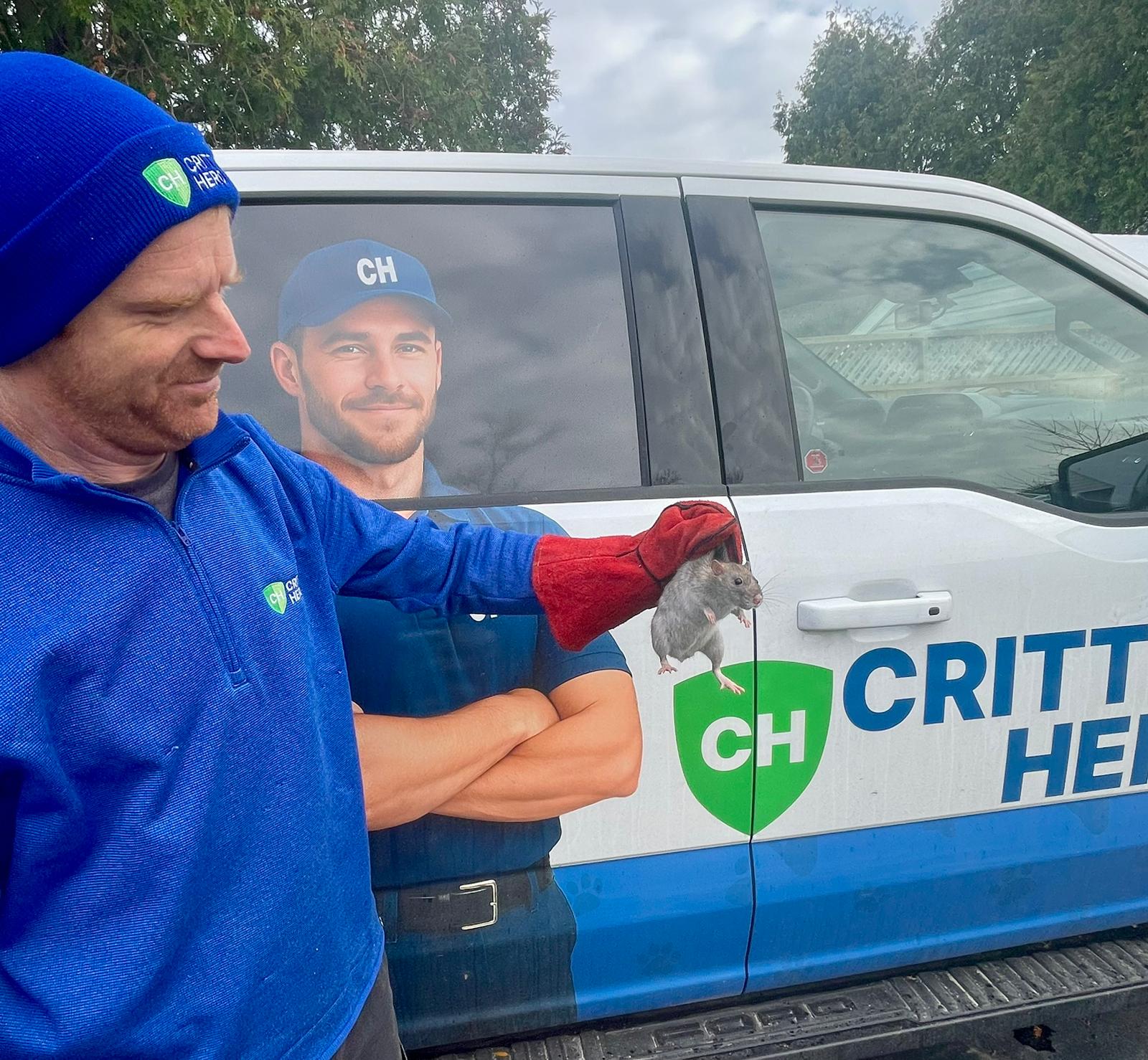 rat caught by humane wildlife removal specialist from Critter Hero in Ontario, Canada